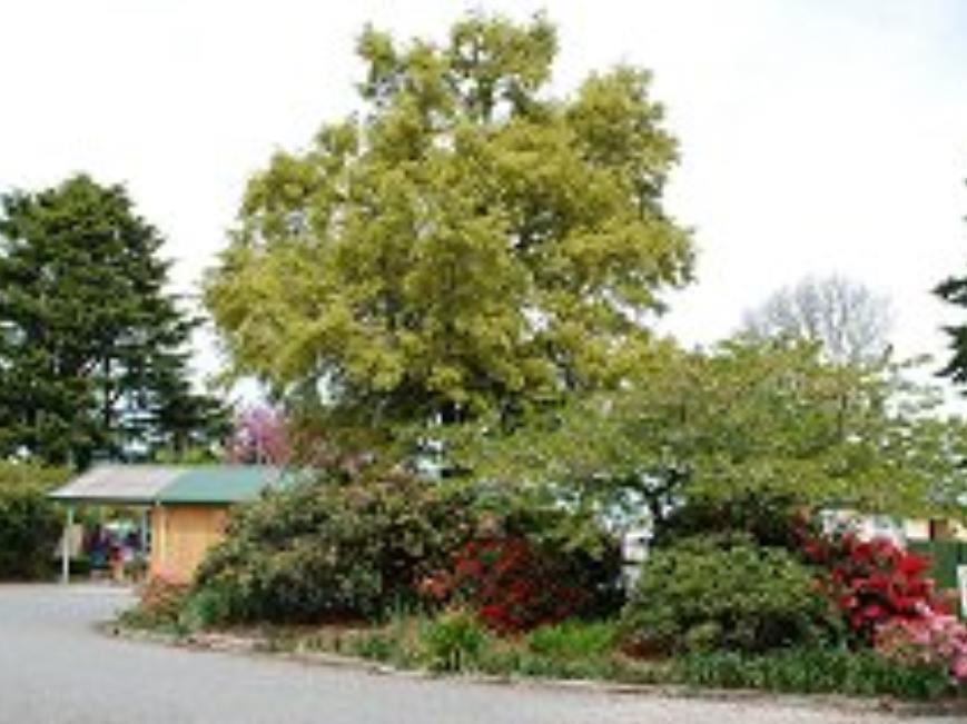 אשברטון Coronation Park Motels מראה חיצוני תמונה
